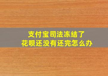 支付宝司法冻结了 花呗还没有还完怎么办